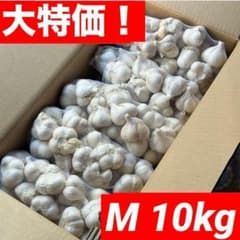 大特価】青森県 福地ホワイト にんにく M 10kg 加工 タネ 家庭用