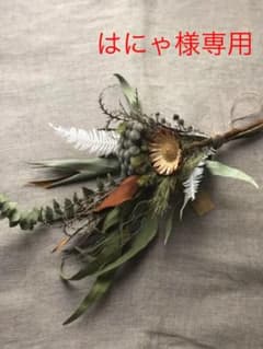 #62 コンパクターとアルビフローラのスワッグのサムネイル