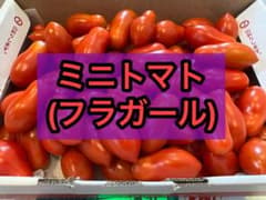 ミニトマト(フラガール)1kgのサムネイル