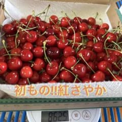 紅さやか さくらんぼ 700ｇ 初もの 家庭用のサムネイル