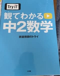Try IT(トライイット) 観てわかる 中2数学のサムネイル
