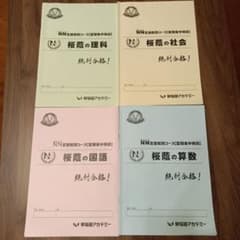 早稲アカ 2021年度NN桜蔭 夏期集中特訓教材 - メルカリ