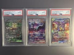 PSA10】SAR ウガツホムラ ウネルミナモ タケルライコ 三犬 - メルカリ