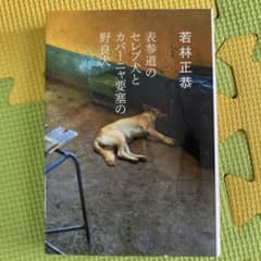 若林正恭　『表参道のセレブ犬とカバーニャ要塞の野良犬』のサムネイル