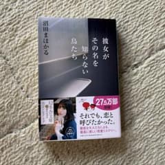 彼女がその名を知らない鳥たち 沼田まほかるのサムネイル