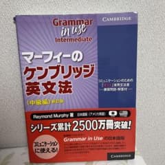 マーフィーのケンブリッジ英文法 : コミュニケーションのための「使える」実用文…のサムネイル