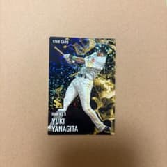 カルビー プロ野球チップス 2025 柳田悠岐 STAR CARDのサムネイル
