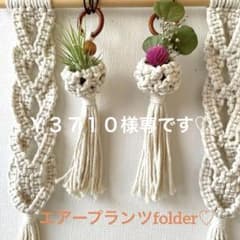 マクラメホルダー エアープランツホルダー 壁掛け マクラメハンモックのサムネイル