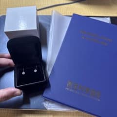 天然ダイヤモンド フックタイプ イヤリング 鑑定書付きのサムネイル