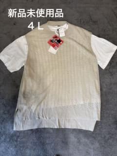 新品未使用品Vanilla studio レイヤード風 半袖Tシャツ 4Lのサムネイル