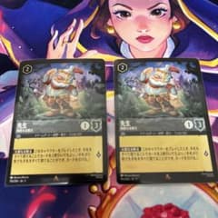 ロルカナ 先生 剛胆なる騎士 通常2枚 - メルカリ