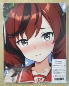 ナイスネイチャ 抱き枕カバー ウマ娘 - 2