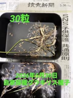 凛様 リクエスト 4点 まとめ商品のサムネイル