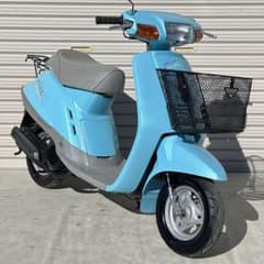 m65157570592_1.jpg?1710822391