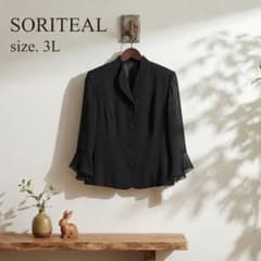 SORITEAL ソリテール ブラックフォーマル 3L シアー袖 15号 良品