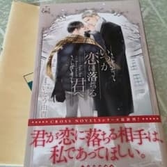 BＬ 小説のサムネイル