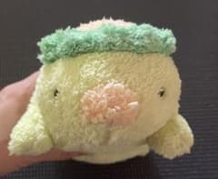 ぬくまるシリーズ かっぱ　ぬいぐるみのサムネイル