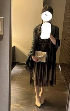 専用ドレスのみのサムネイル