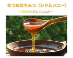 黄金色の飲むジュエル【シドルハニー（純粋なつめはちみつ）】400g×1本 黄金色の飲むジュエル【シドルハニー（純粋なつめはちみつ）】400g×1本