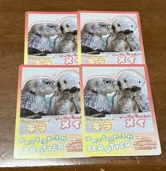 鳥羽水族館コレクションカードvol.2 メイキラ　ニコイチカード 44 45番 鳥羽水族館 とばすい コレクションカード メイ キラ - メルカリ