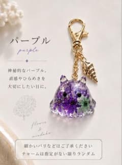 めんだこ／メンダコ お花たっぷり キーホルダー ドライフラワー - メルカリ