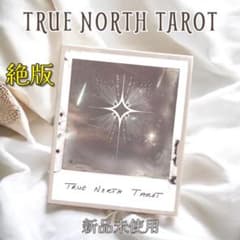 新品未使用 絶版 TRUE NORTH TAROT タロットカード 日本未入荷
