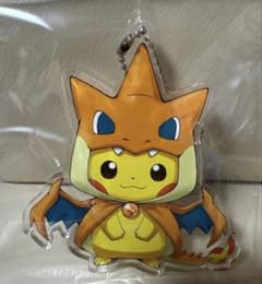 匿名配送 ポケモン メガリザードンYのポンチョを着たピカチュウ
