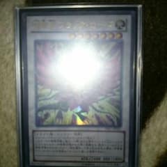 遊戯王 月華竜ブラックローズのサムネイル