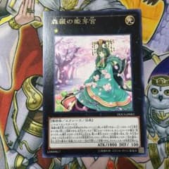 森羅の姫芽宮のサムネイル