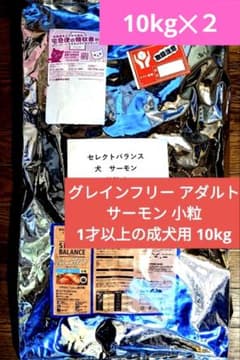 セレクトバランス グレインフリー アダルト サーモン 成犬用 10kg✕2