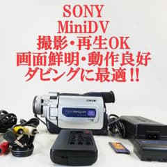 ソニーDCR-TRV17【動作良好】MiniDV ビデオカメラ ダビングに最適