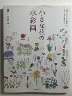 小さな花の水彩画 花姿をお手本に描ける、一四〇種の解説つき - メルカリ