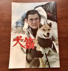 1978年 犬笛 パンフレット 中島貞夫監督　菅原文太主演 三船プロ　西村寿行 1978年 犬笛 パンフレット 中島貞夫監督 菅原文太主演 三船プロ 西村