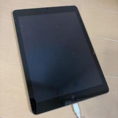 Apple iPad 本体 16GB