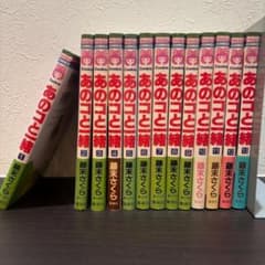 あのコと一緒 全13巻完結 初版多数 帯一部 美品 りぼん少女漫画 - メルカリ