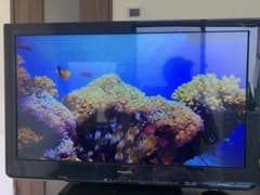 Panasonic VIERA TH-L32C5 液晶テレビ 本体 - メルカリ