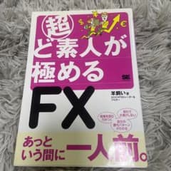 超ど素人が極めるFX