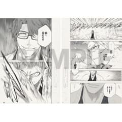2点セットBLEACH　複製原画 Amazon.co.jp: BLEACH 複製原画 模写2枚セット 久保帯人