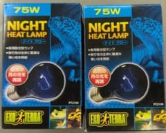 エキゾテラ EXO TERRA ナイトグロー 75W 爬虫類用保温ランプ 2個のサムネイル