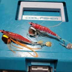 リトルジャック　エビネムのサムネイル