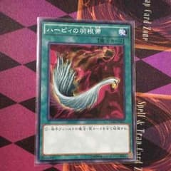 ハーピィの羽根箒のサムネイル