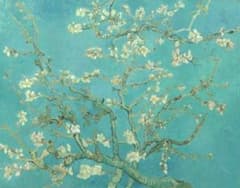 新品 ゴッホ「花咲くアーモンドの木の枝」高級印刷画 大きい A3版