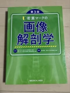 若葉マークの画像解剖学のサムネイル