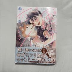 運命の恋シバ　羽毛のサムネイル