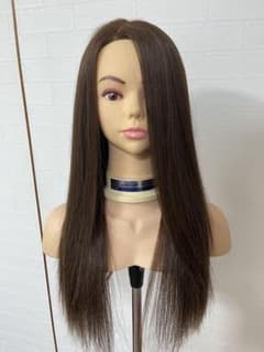 レジーナ アップウィッグ 美容師 カットウィッグ　ウィッグ レジーナ アップウィッグ 美容師 カットウィッグ ウィッグ - メルカリ