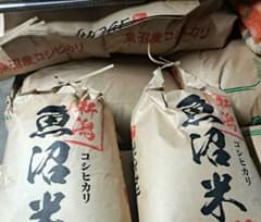 令和7年産　新米　魚沼産コシヒカリ　従来品種　玄米5キロ×2 　合計10キロのサムネイル