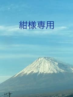 オーダー様専用☆オルゴナイトのサムネイル