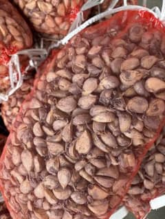青森県産 福地ホワイト六片 にんにく 種用 中 10kg 消毒