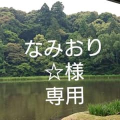 なみおり様専用機のサムネイル