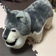 シャクレルプラネット‼︎のサムネイル